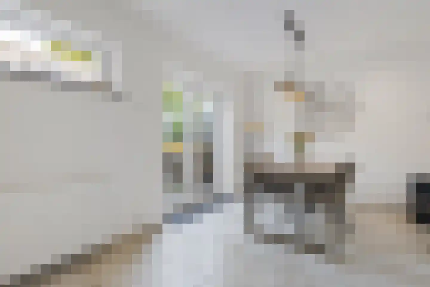 Gulicksestraat 71 Sittard thumbnail 20