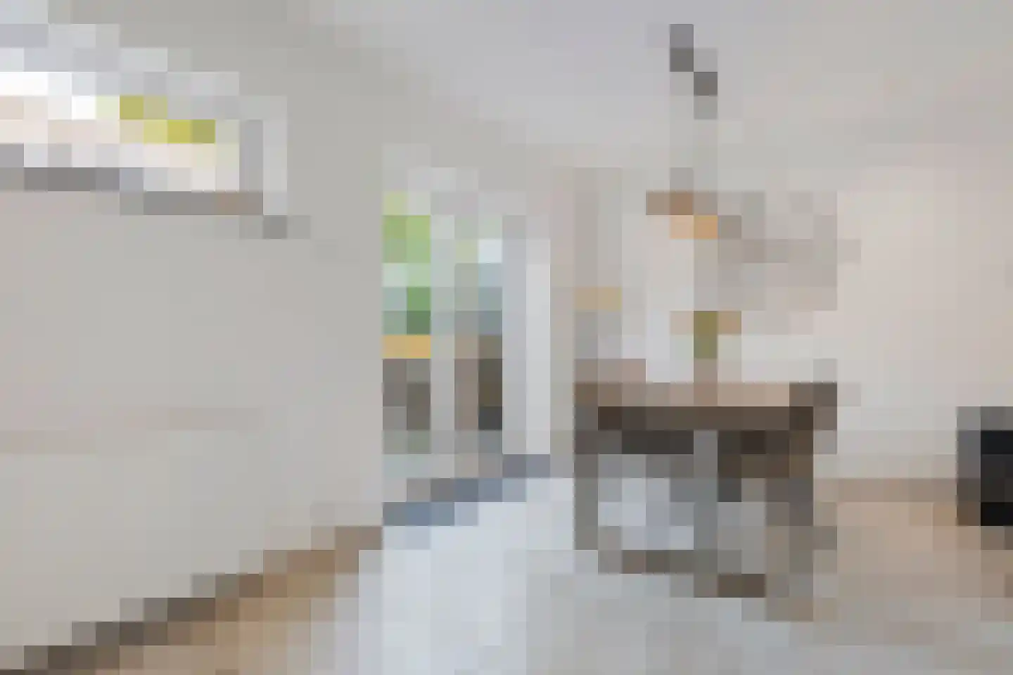 Gulicksestraat 71 Sittard thumbnail 20