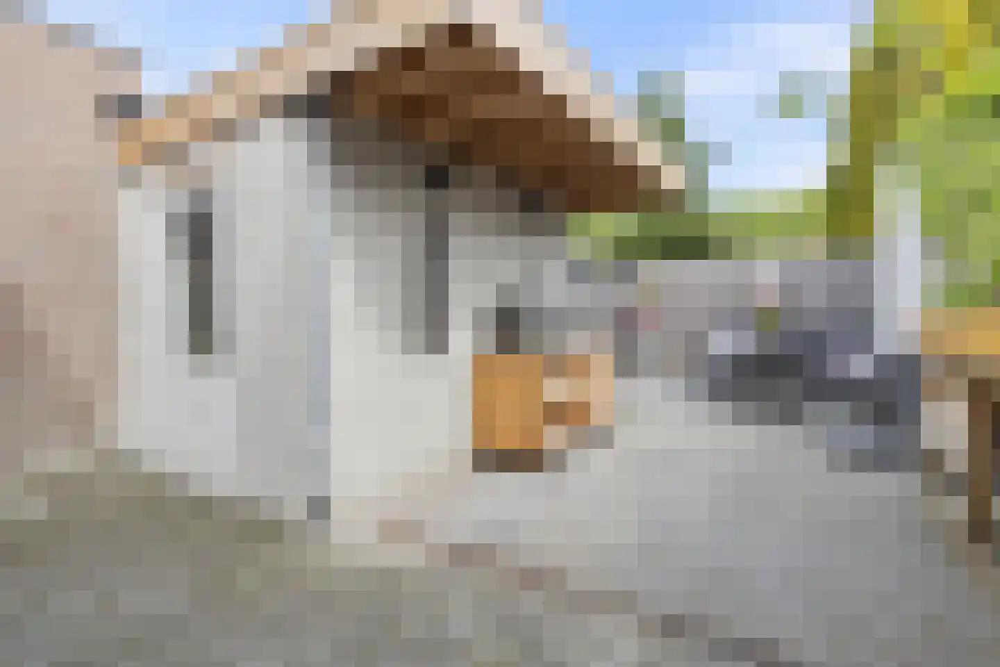 Gulicksestraat 71 Sittard thumbnail 33