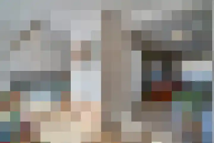Gulicksestraat 78 Sittard thumbnail 15