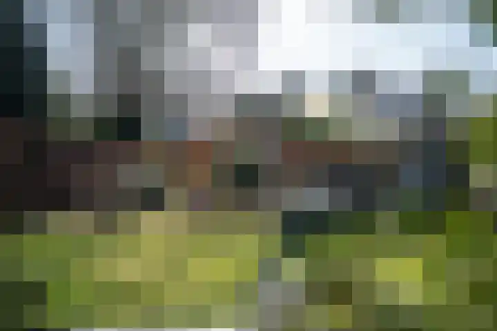 Gulicksestraat 78 Sittard thumbnail 29