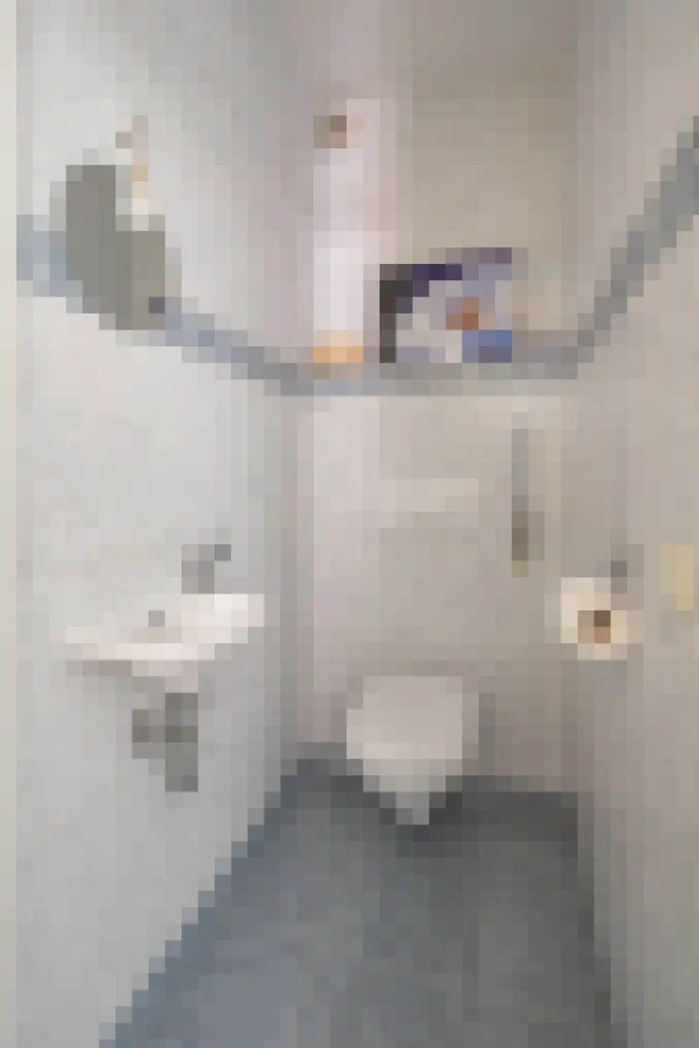 Gulickspark 11 Susteren thumbnail 10