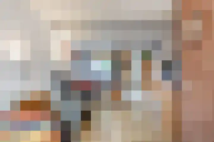 Gulickspark 8 Susteren thumbnail 11