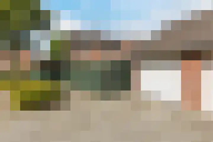 Gulickspark 8 Susteren thumbnail 40