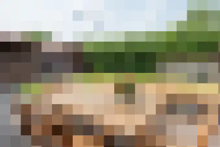Gulikstraat 10 Uden thumbnail 10