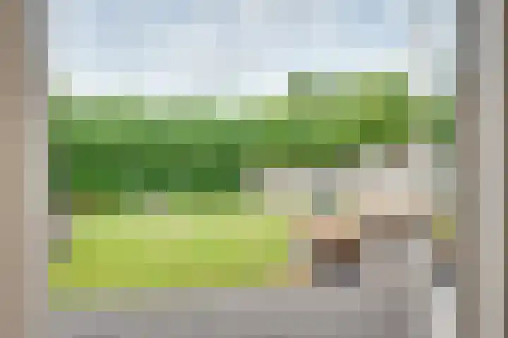 Gulikstraat 10 Uden thumbnail 11