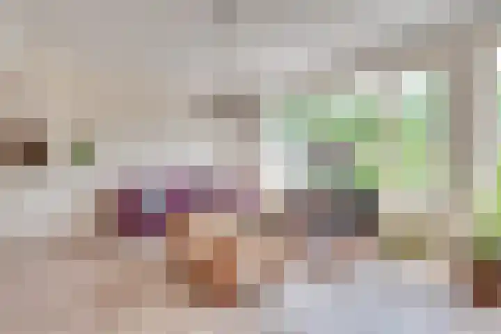 Gulikstraat 10 Uden thumbnail 16