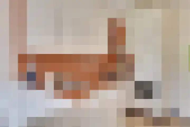 Gulikstraat 10 Uden thumbnail 22