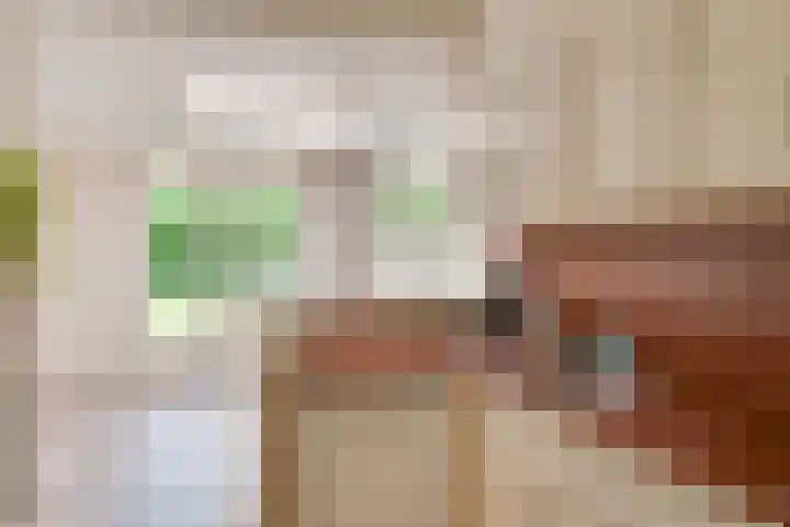 Gulikstraat 10 Uden thumbnail 23