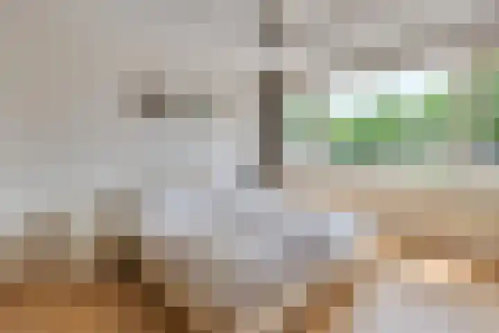 Gulikstraat 10 Uden thumbnail 25