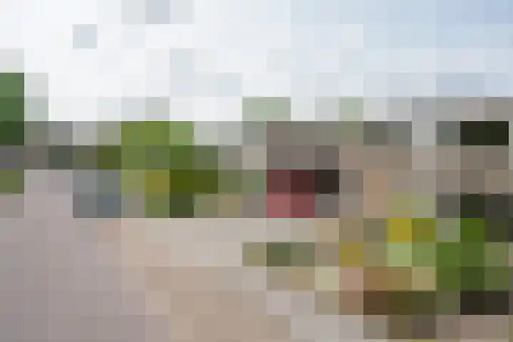 Gulikstraat 10 Uden thumbnail 4