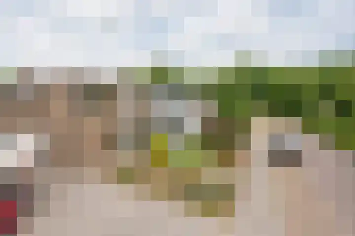 Gulikstraat 10 Uden thumbnail 5