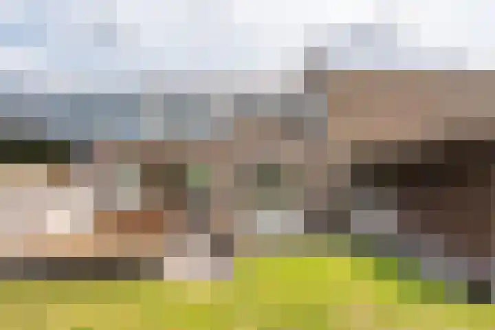 Gulikstraat 10 Uden thumbnail 7