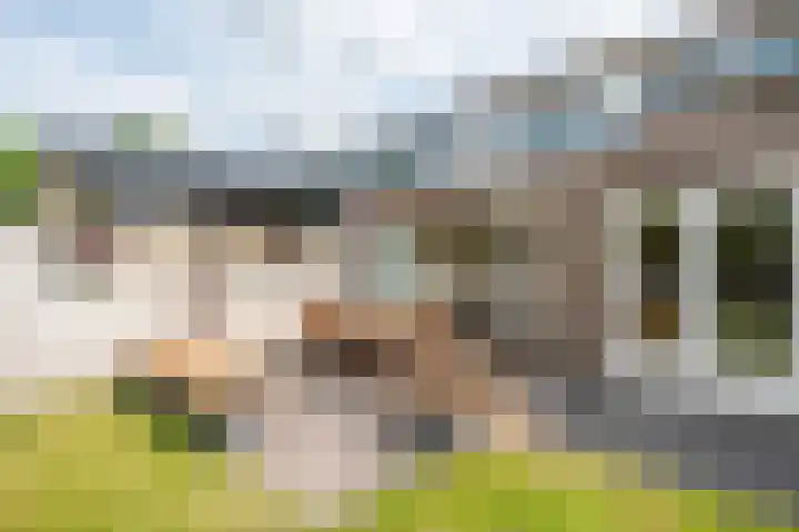 Gulikstraat 10 Uden thumbnail 8