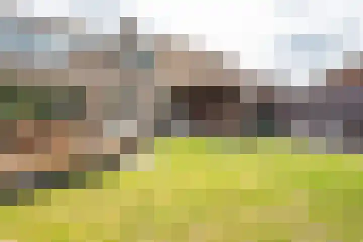 Gulikstraat 10 Uden thumbnail 9