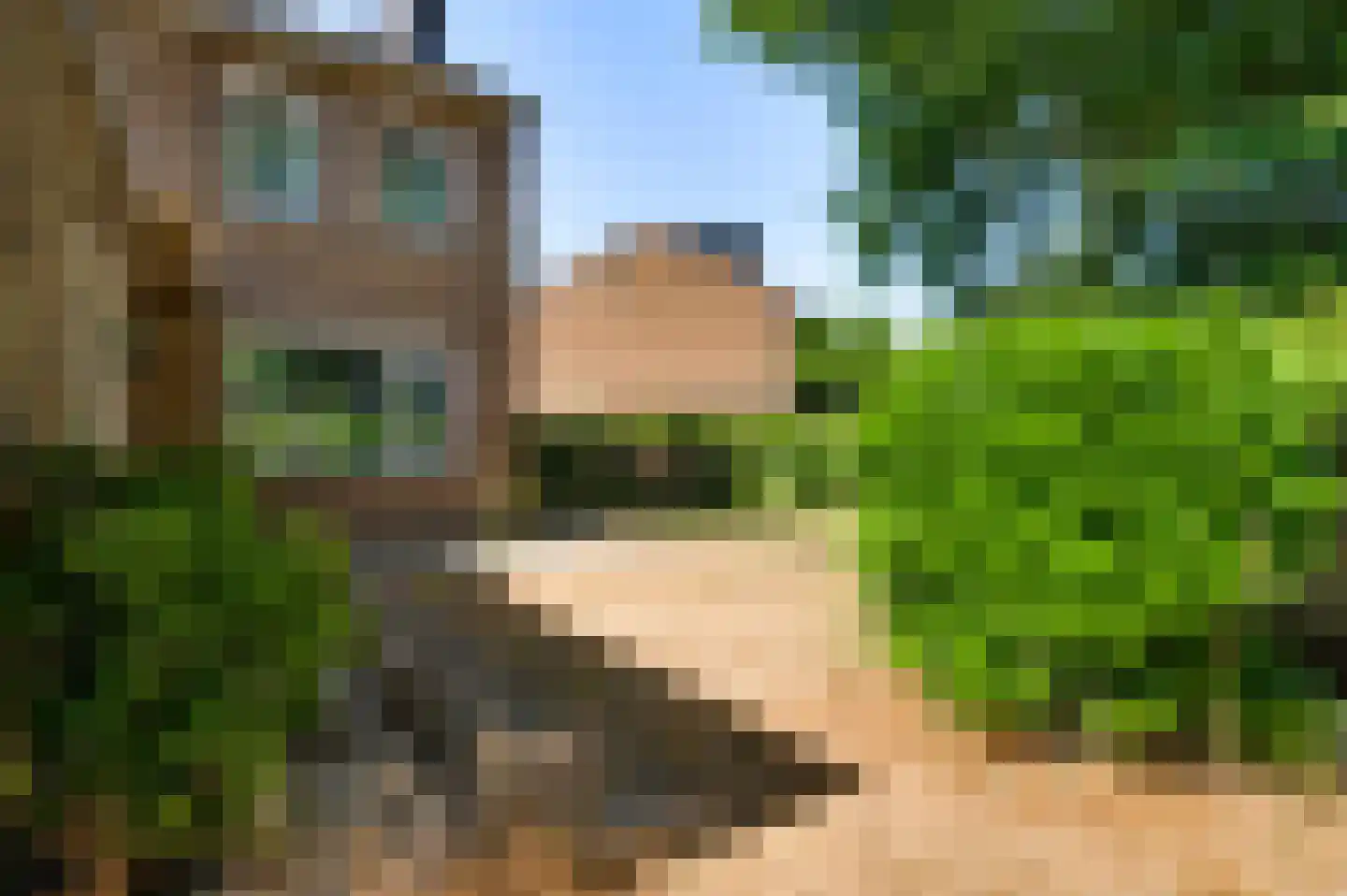 Gulikstraat 11 Venlo thumbnail 32