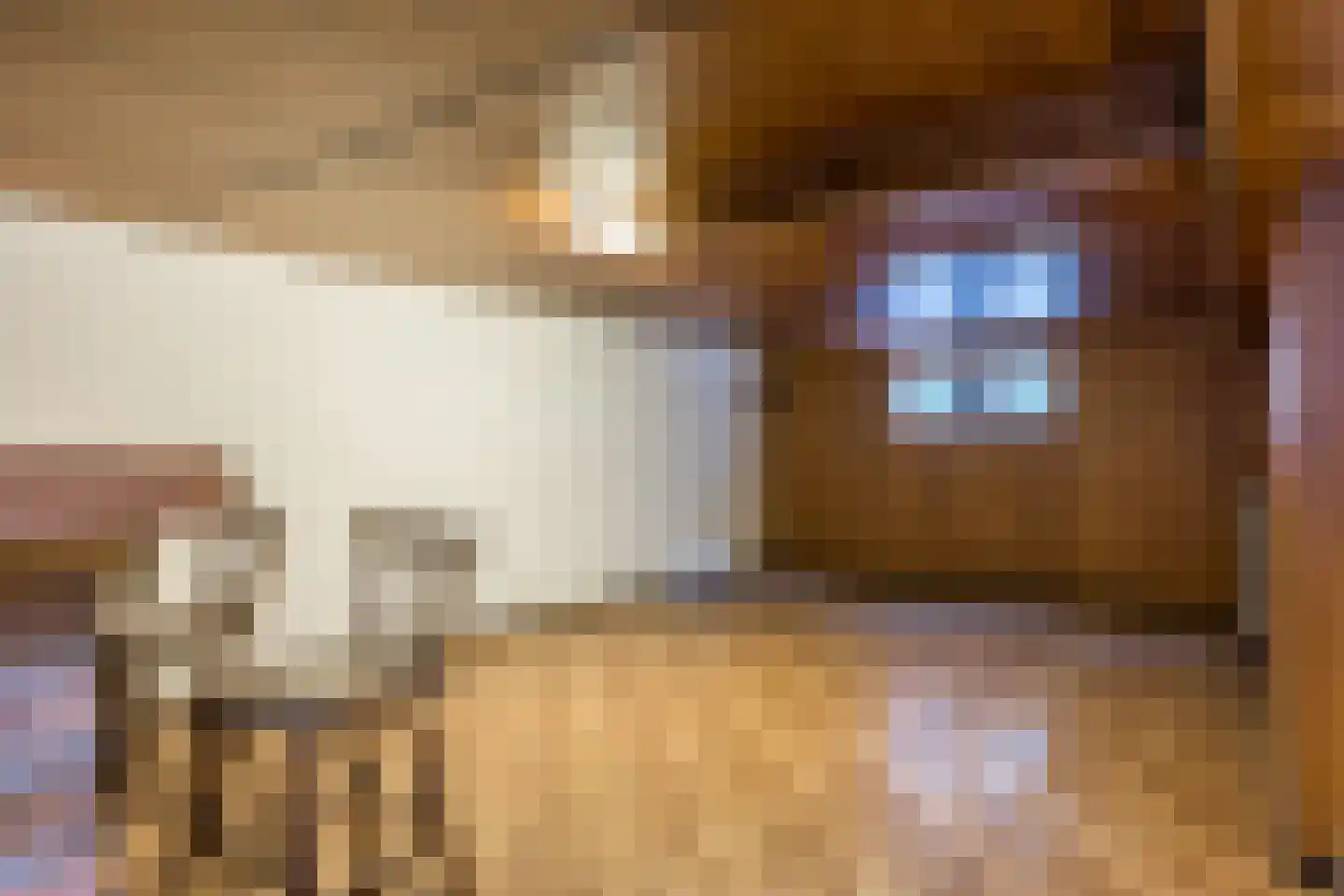 Gulikstraat 12 Munstergeleen thumbnail 40