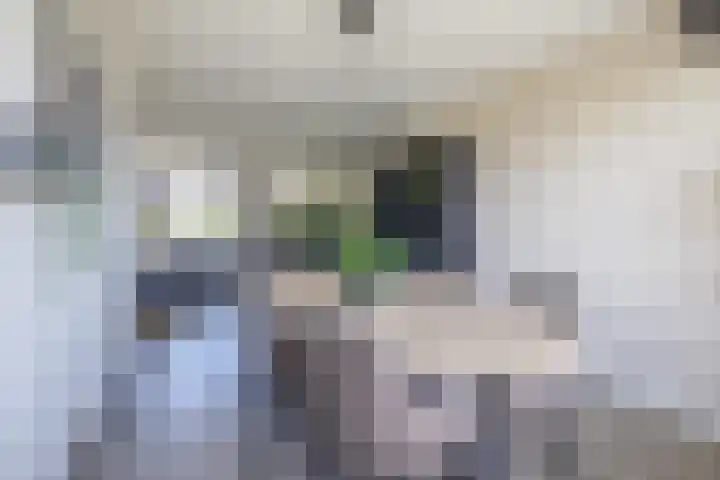 Gulikstraat 121 Venlo thumbnail 5