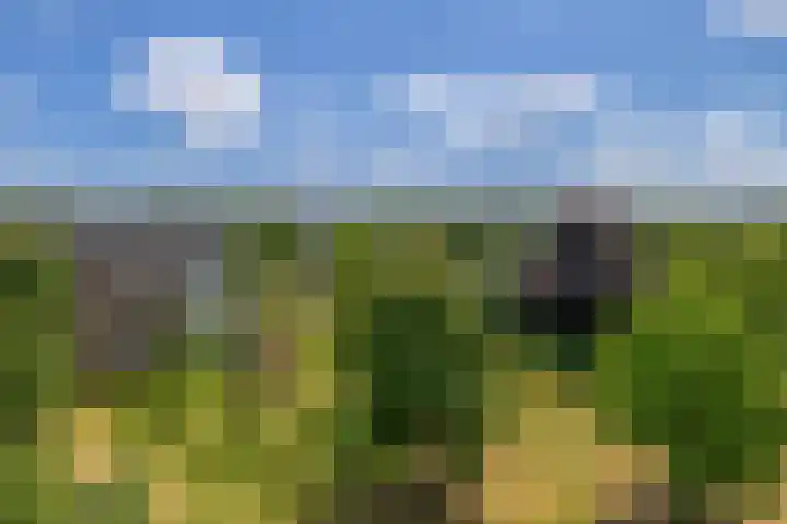 Gulikstraat 121 Venlo thumbnail 8