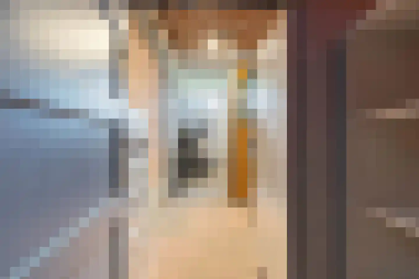 Gulikstraat 146 Venlo thumbnail 34