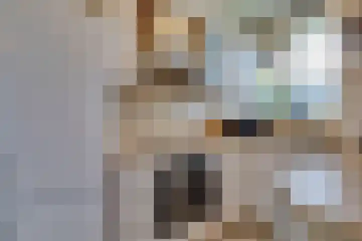 Gulikstraat 150 Venlo thumbnail 22