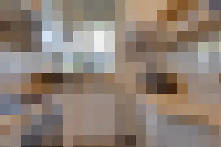 Gulikstraat 150 Venlo thumbnail 23
