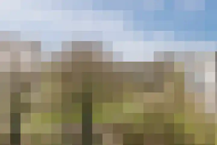 Gulikstraat 152 Venlo thumbnail 24