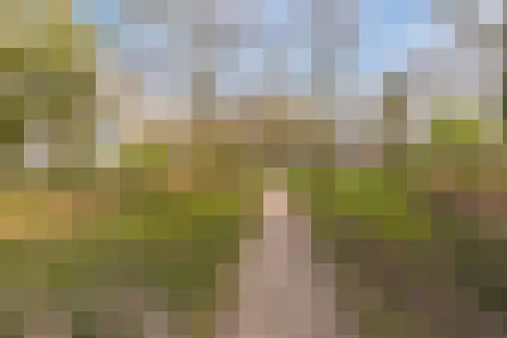 Gulikstraat 152 Venlo thumbnail 34
