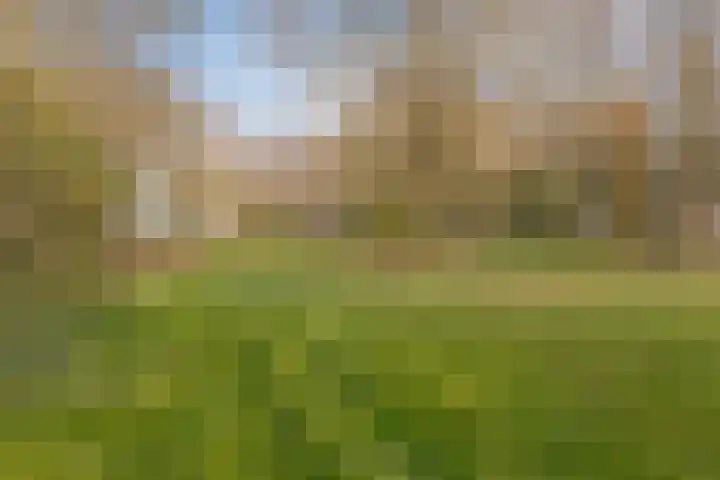Gulikstraat 152 Venlo thumbnail 35