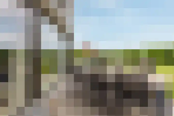 Gulikstraat 16 Munstergeleen thumbnail 33