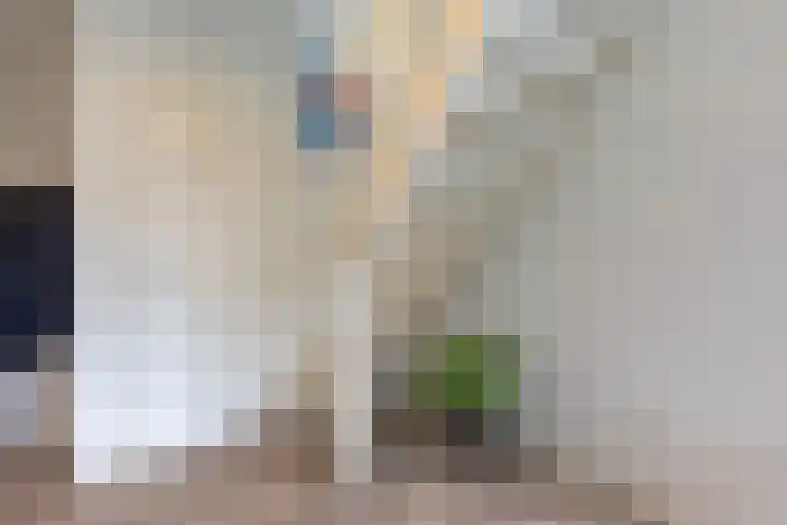 Gulikstraat 16 Munstergeleen thumbnail 6
