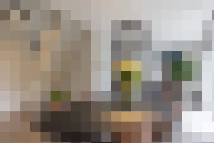 Gulikstraat 16 Munstergeleen thumbnail 7