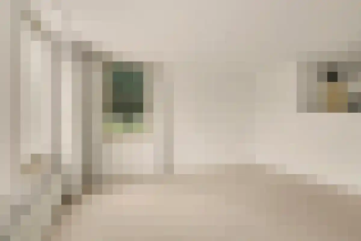 Gulikstraat 210 Venlo thumbnail 6