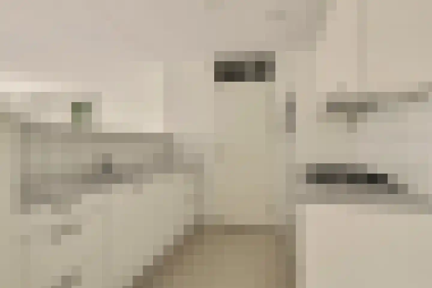 Gulikstraat 210 Venlo thumbnail 9
