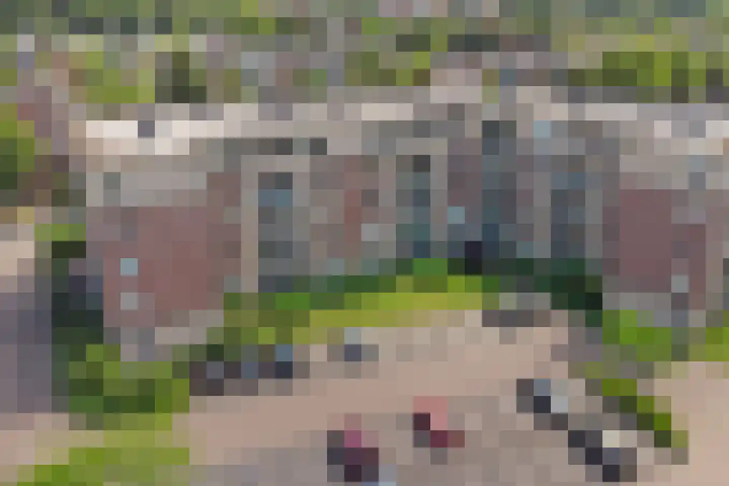 Gulikstraat 228 Venlo thumbnail 19