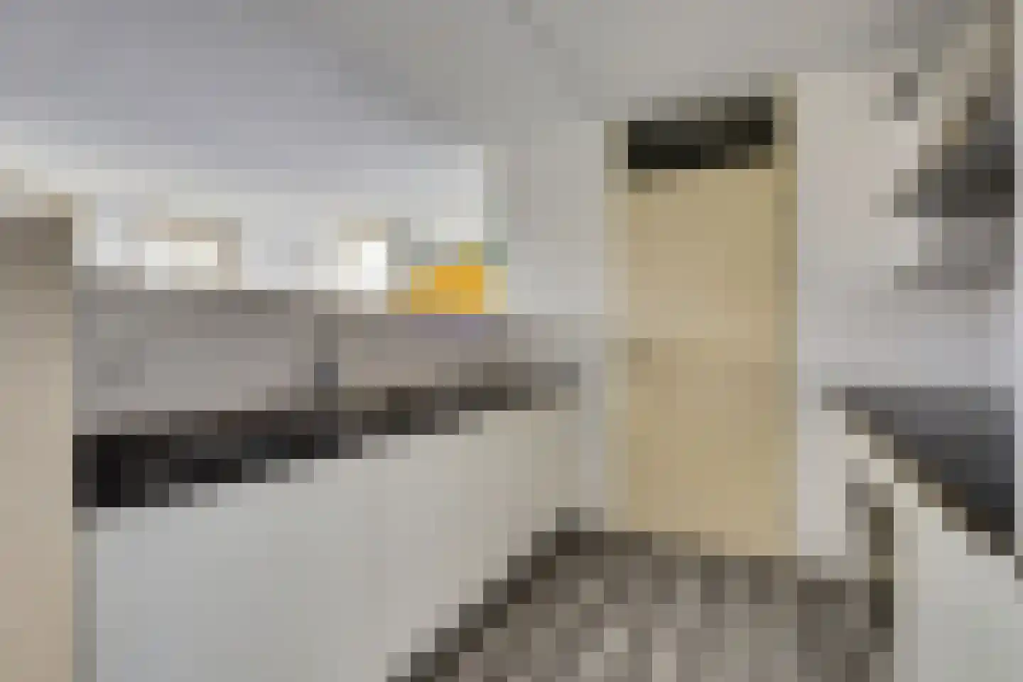 Gulikstraat 228 Venlo thumbnail 8