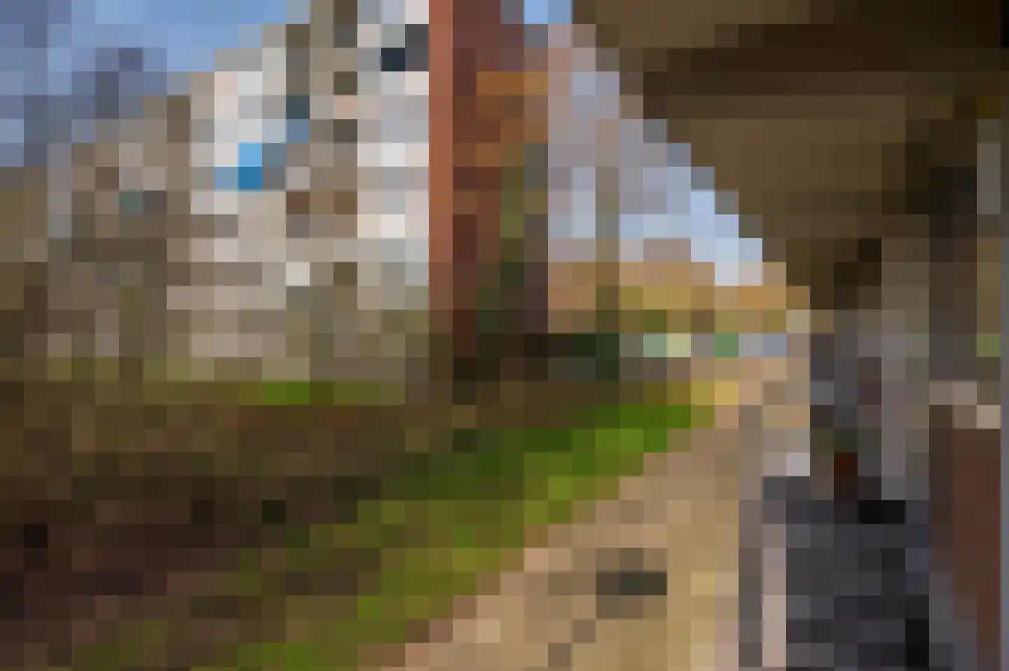 Gulikstraat 24 Venlo thumbnail 15