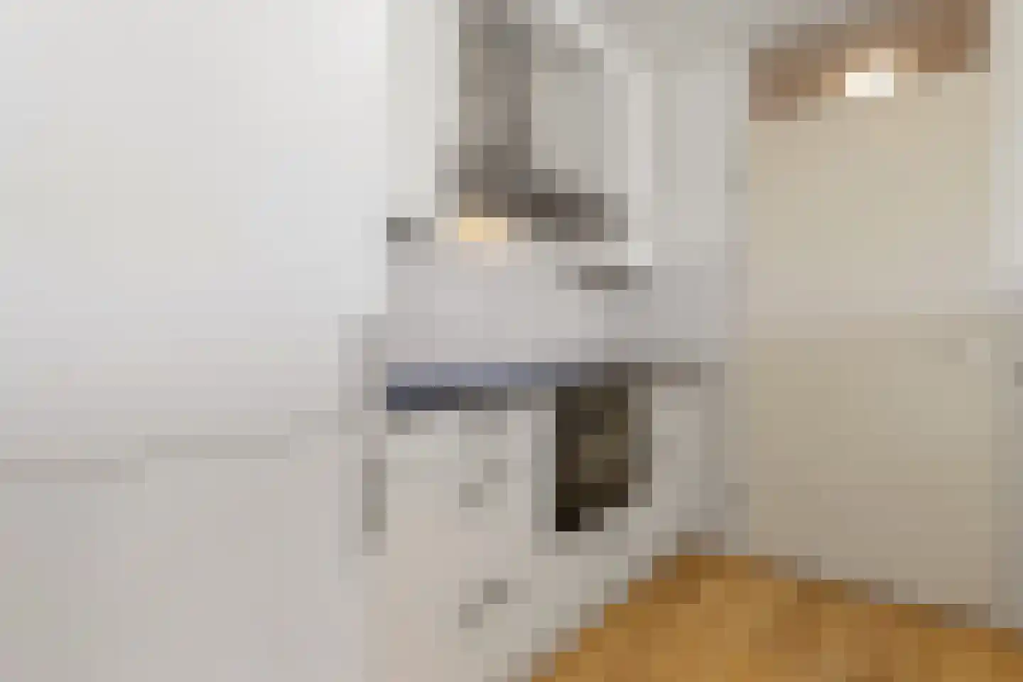 Gulikstraat 240 Venlo thumbnail 28