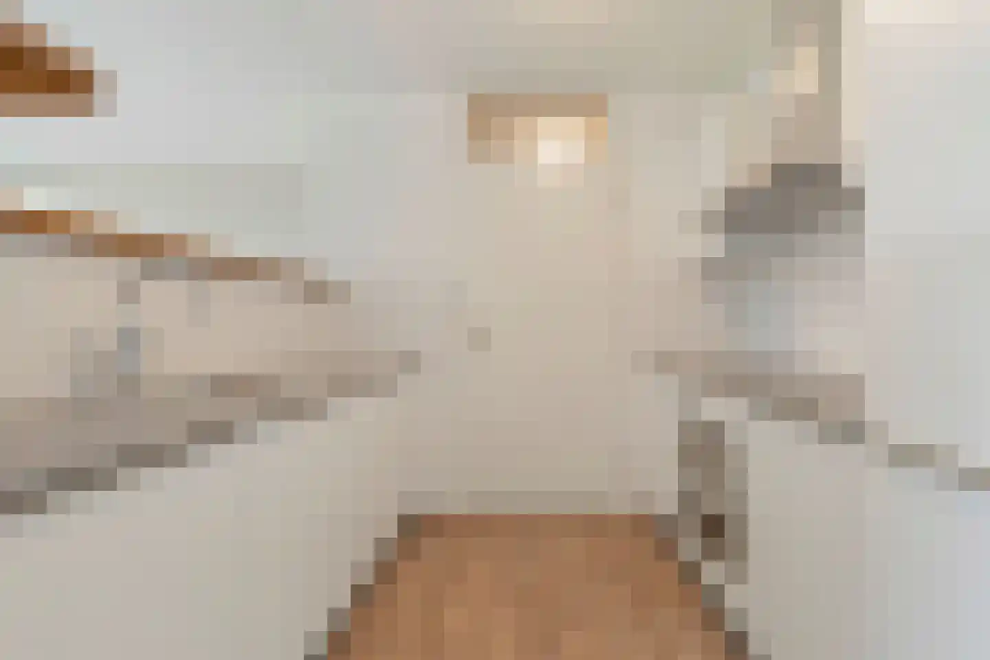 Gulikstraat 246 Venlo thumbnail 14