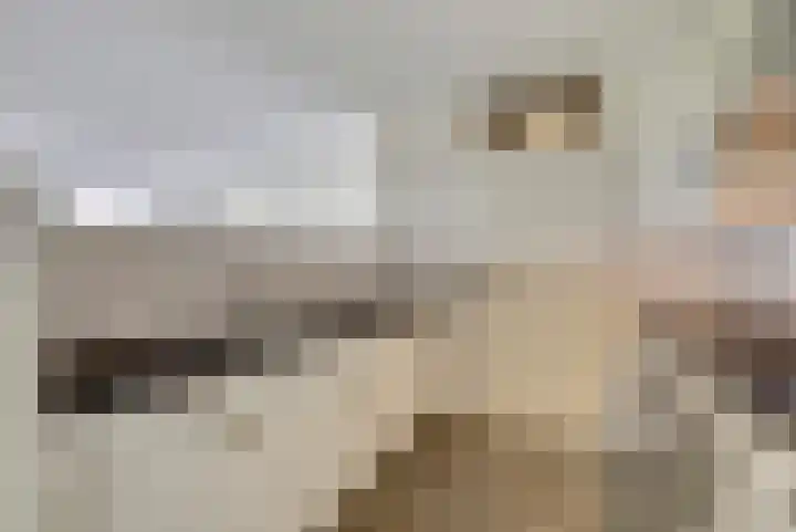Gulikstraat 276 Venlo thumbnail 7