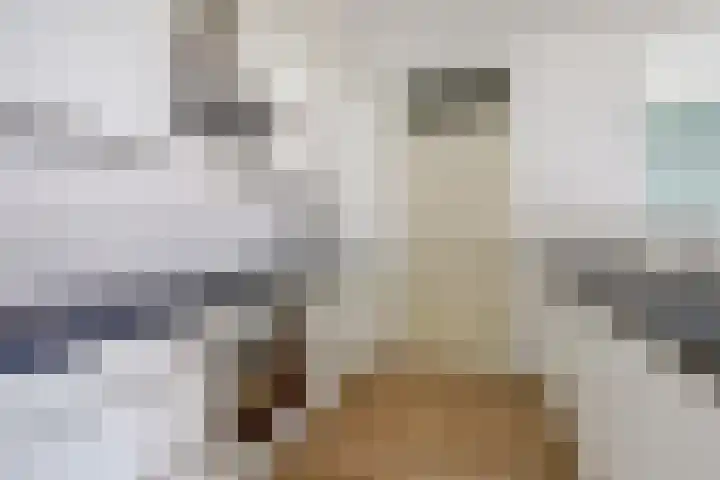 Gulikstraat 284 Venlo thumbnail 7