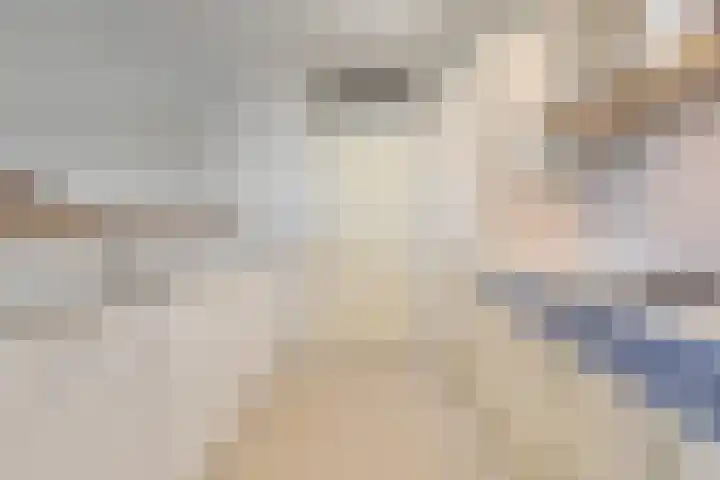 Gulikstraat 294 Venlo thumbnail 11