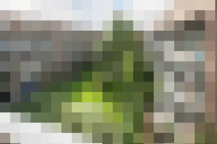 Gulikstraat 296 Venlo thumbnail 12