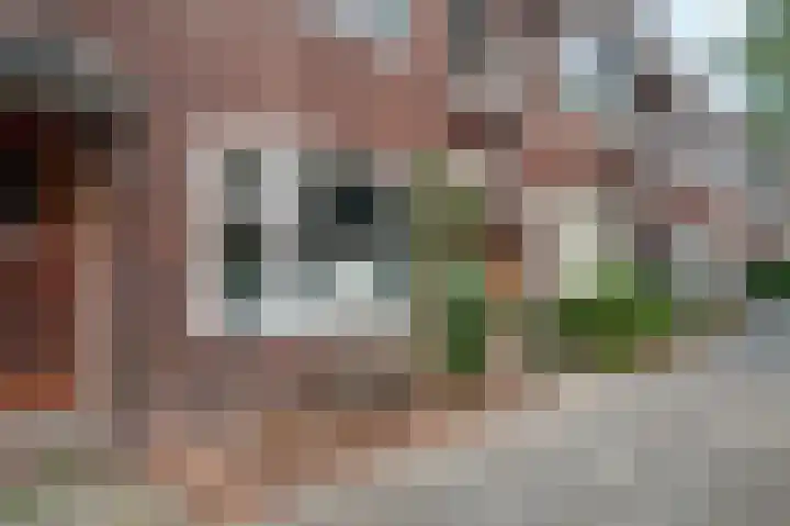 Gulikstraat 296 Venlo thumbnail 15