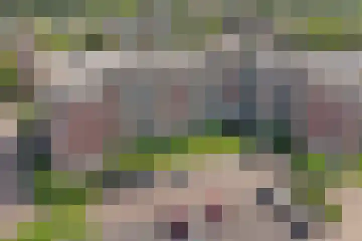Gulikstraat 300 Venlo thumbnail 19