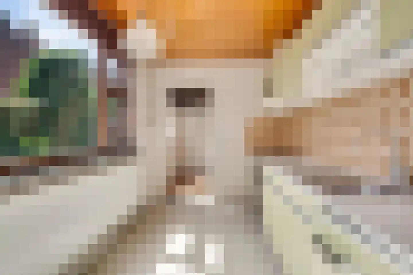 Gulikstraat 35 Weert thumbnail 4