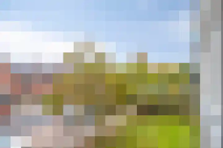 Gulikstraat 40 Venlo thumbnail 24