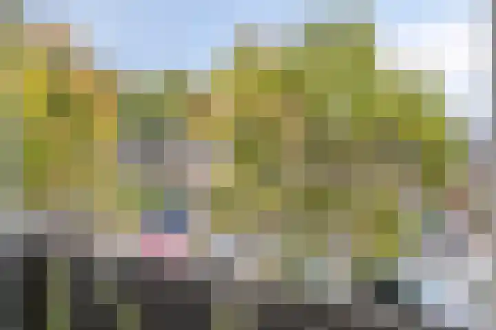 Gulikstraat 40 Venlo thumbnail 25
