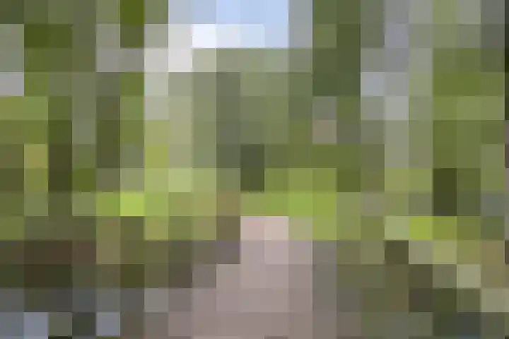 Gulikstraat 40 Venlo thumbnail 30
