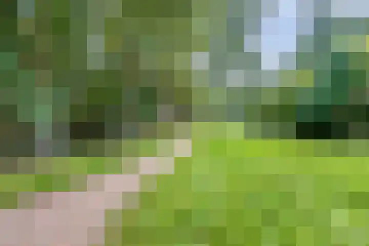 Gulikstraat 40 Venlo thumbnail 31